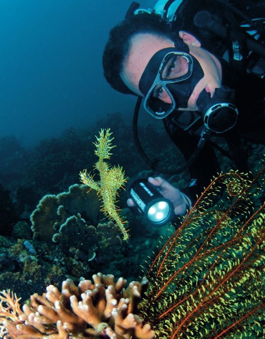 Diver and coral 1