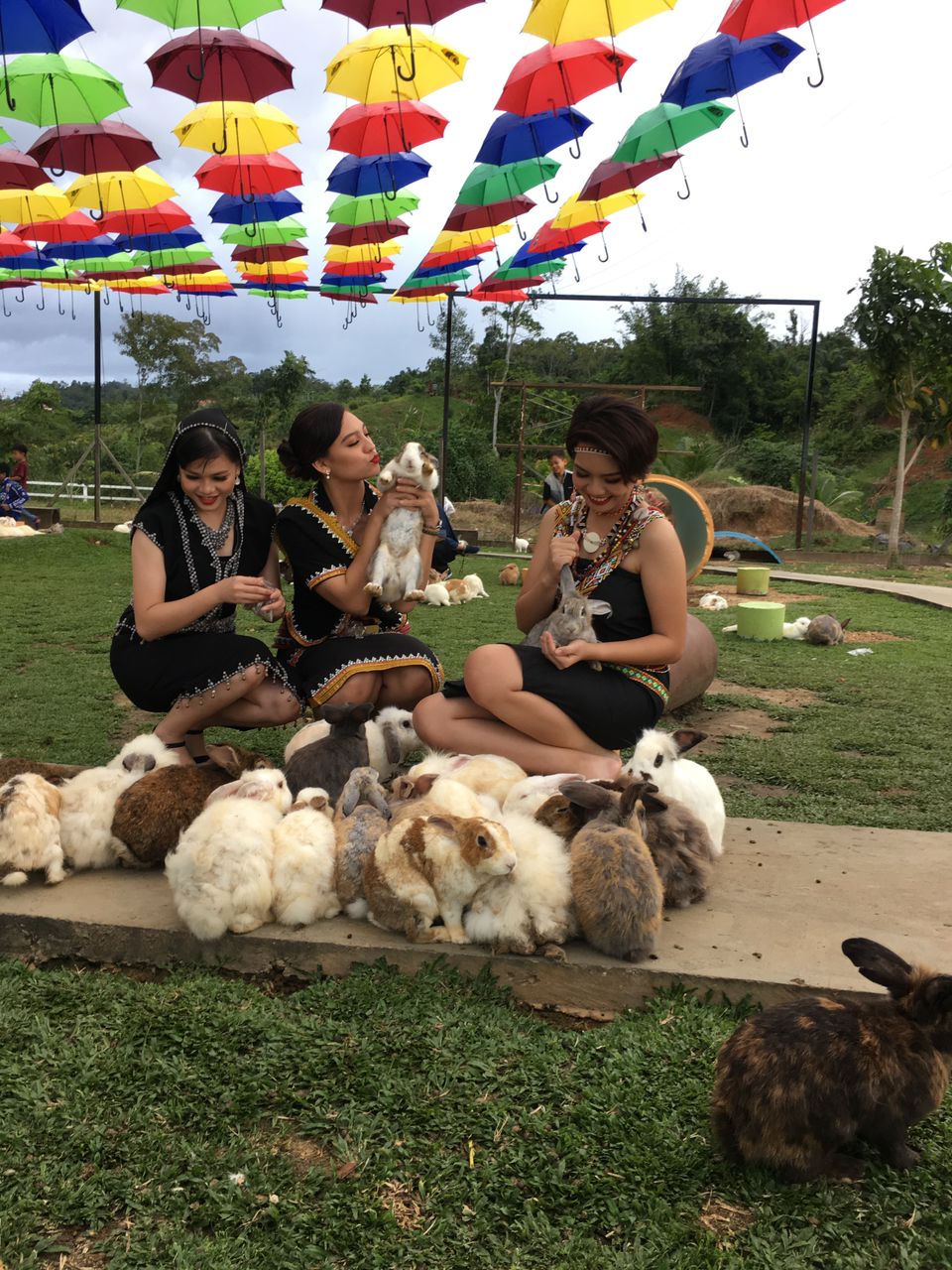 Rabbit Farm 1_Credit Ranau Rabbit Farm