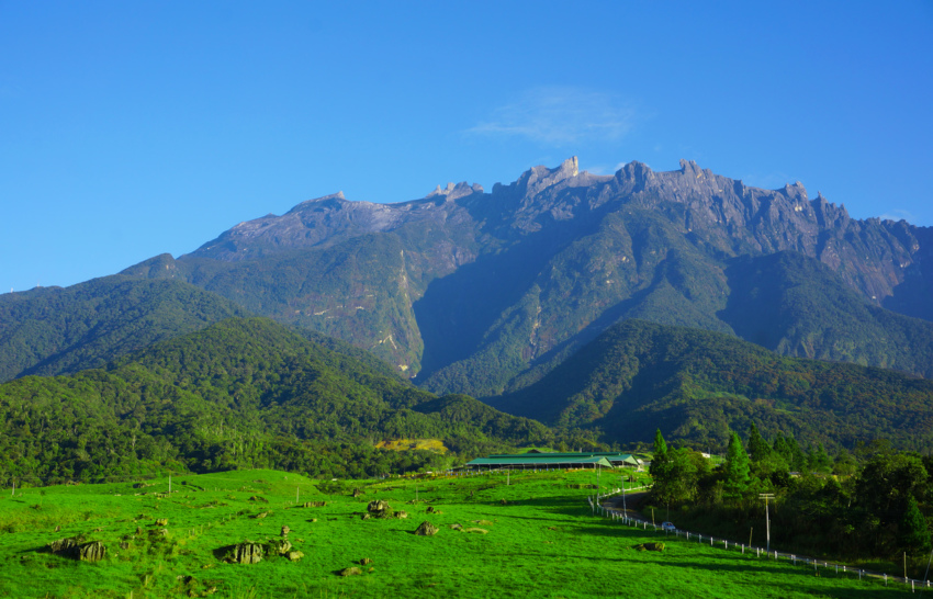 Mt Kinabalu from Desa Cattle